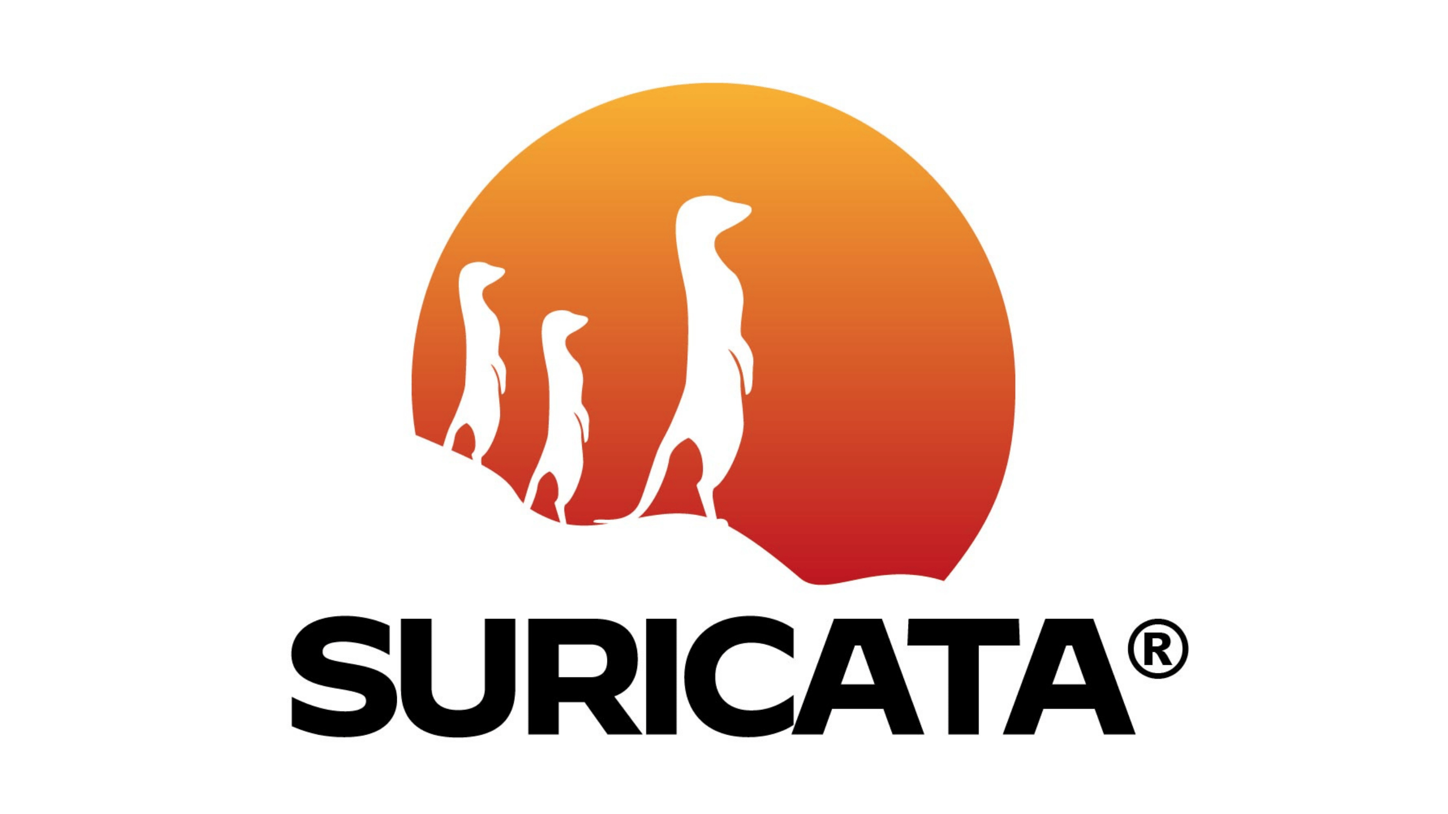 Installing Suricata IDS