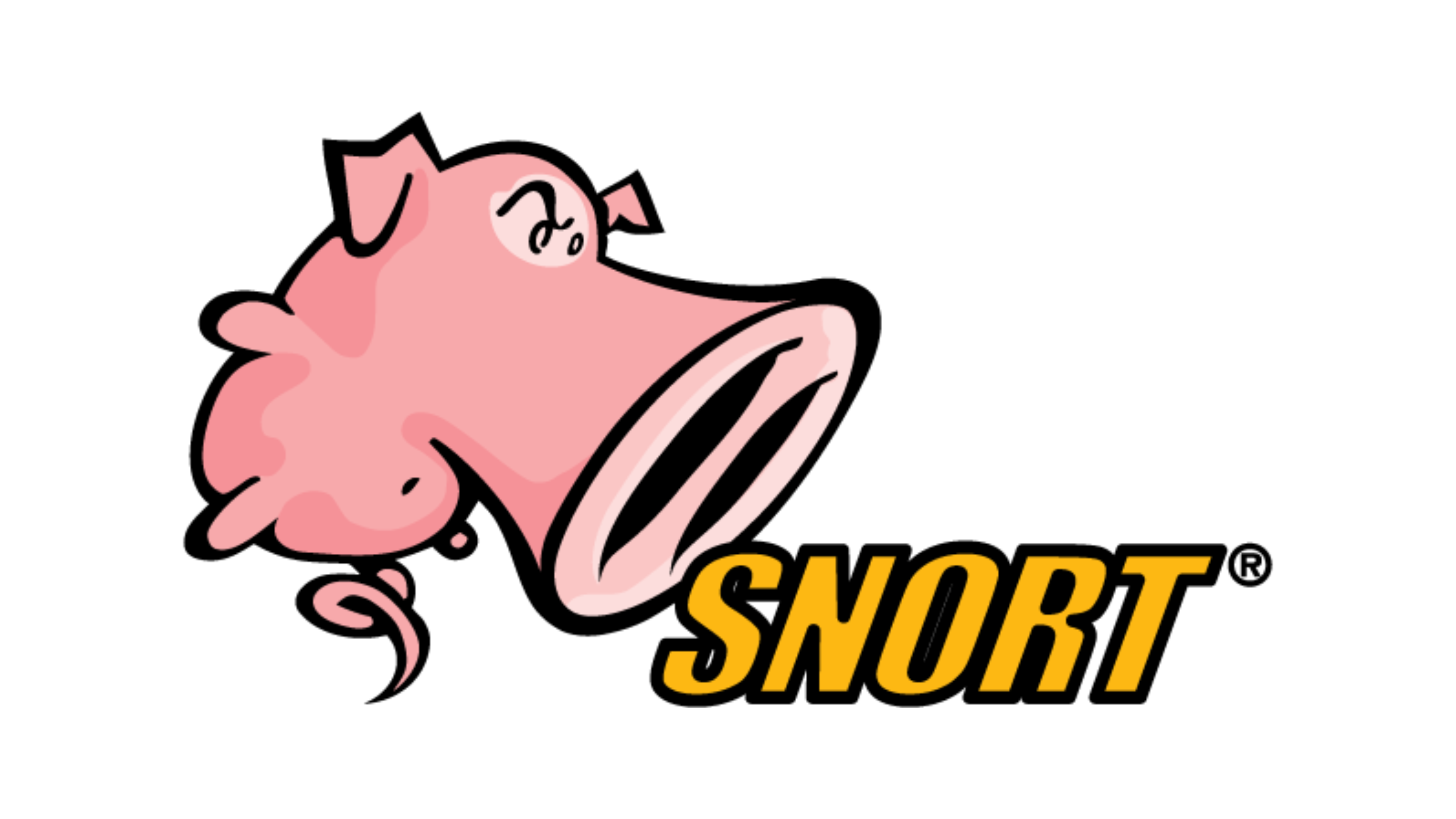 Open Source IDS Home-Lab(using Snort)